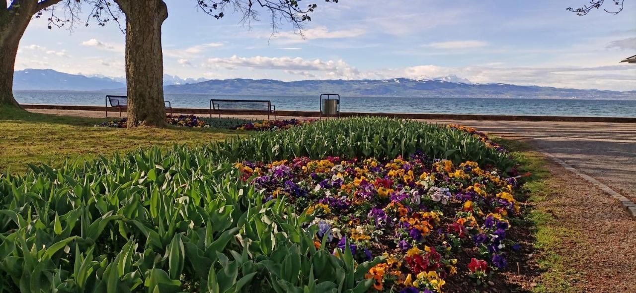 Bodensee Apartments Kressbronn "Haus Am Seepark" Kressbronn am Bodensee Ngoại thất bức ảnh