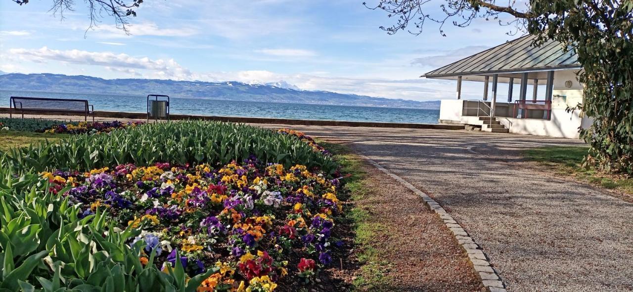 Bodensee Apartments Kressbronn "Haus Am Seepark" Kressbronn am Bodensee Ngoại thất bức ảnh